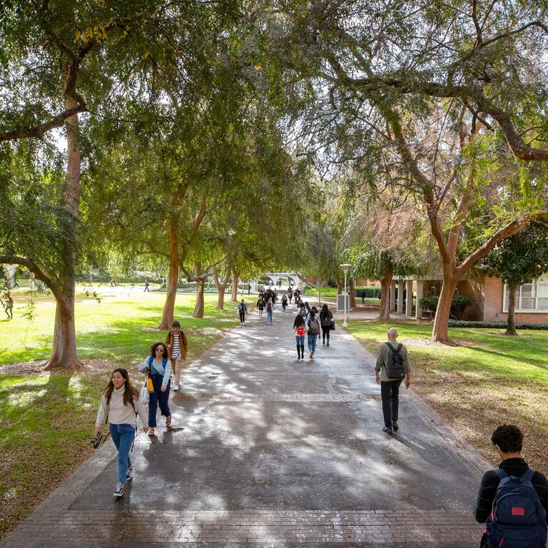 Students walking to and fro underneath old trees at UC Riverside